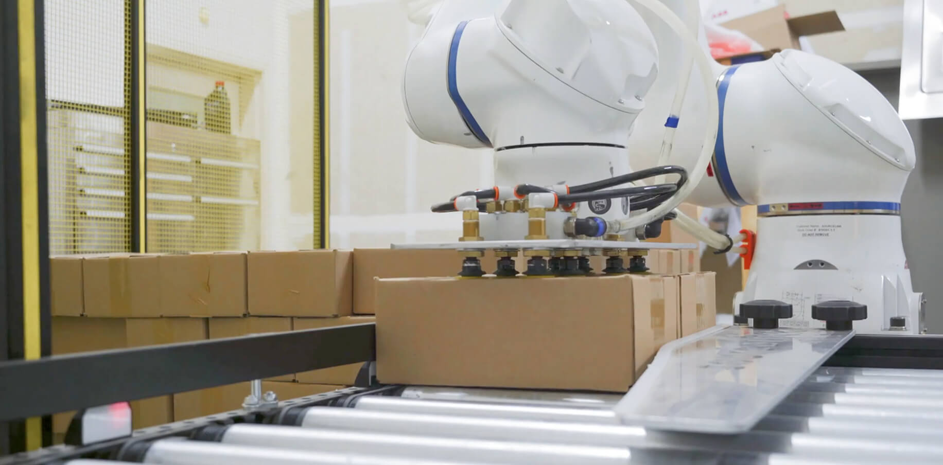 Parcel Mixed-Case Palletizing